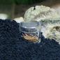 Preview: Aquarium PLANARIENFALLE Planaria Scheibenwürmer Falle Trap Wurm Fänger