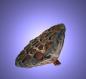 Preview: Aquarium Deko GARNELEN LOTUS POD ca. 7-10 cm Höhle Terrarium Nano Zubehör