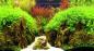 Preview: Aquarium Deko RÜCKWANDFOLIE 100 X 50 cm Fotorückwand Zubehör Dekoration