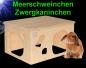 Preview: Nager HOLZ ZWERGKANINCHEN MEERSCHWEINCHEN HAUS 2 Eingänge Zubehör Nest