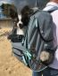 Preview: Hunde Katze MULTIFUNKTIONS RUCKSACK Tragetasche Transportbox Reise Auto NOBBY