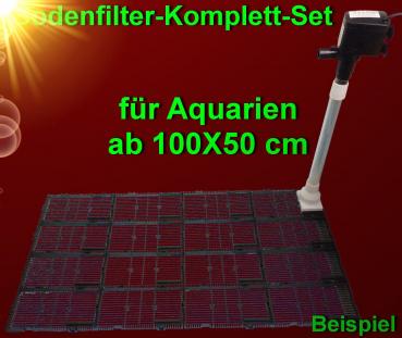 Aquarium ab 100x50 cm 