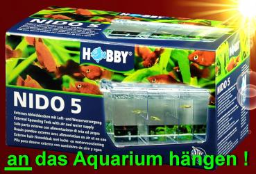 Aquarium EXTERNER ABLAICHKASTEN ➕ SAUERSTOFFVERSORGUNG Aufzuchtsbecken Zubehör