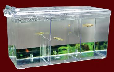 Aquarium EXTERNER ABLAICHKASTEN ➕ SAUERSTOFFVERSORGUNG Aufzuchtsbecken Zubehör