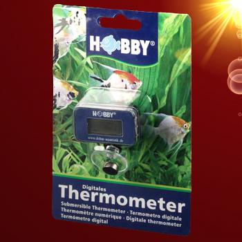 Aquarium digitales  UNTERWASSERTHERMOMETER ✚ SAUGNAPF HOBBY Zubehör Deko Pflege Deko