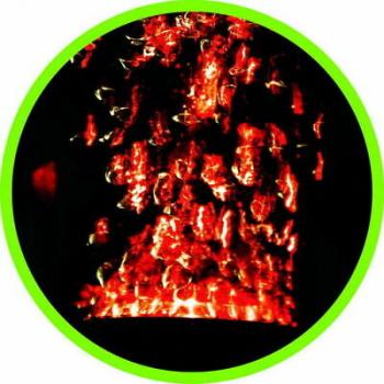 Aquarium Deko LED STRAHLER ✚ AUSSTRÖMER ✚ FERNBEDINUNG16 Farben Zubehör