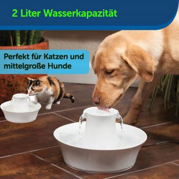 2 Liter Hunde Katzen automatischer Spender TRINKBRUNNEN Haustiere Napf PetSafe