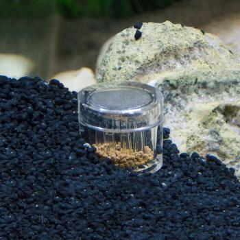 Aquarium PLANARIENFALLE Planaria Scheibenwürmer Falle Trap Wurm Fänger