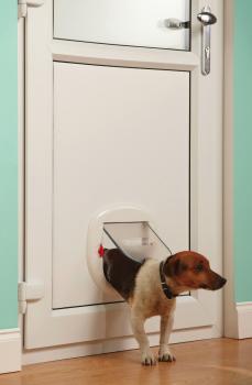 PetSafe® 4-Wege KATZENKLAPPE weiß Katzentür Haustier Hundetür Hundeklappe Glas