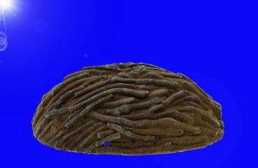 Aquarium Terrarium Deko "HOLZ" HÖHLE GR.S Zubehör Dekoration Reptilien