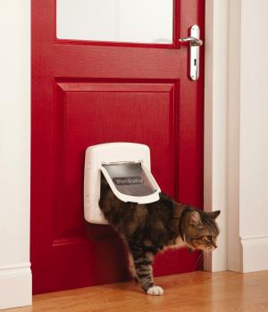 4-Wege PetSafe® KATZENKLAPPE ✚ MAGNETSCHLÜSSEL Katzentür Haustier Hunde Glas