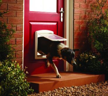 PetSafe® 2-Wege HUNDEKLAPPE Katzentür Haustier Hundetür Katzenklappe