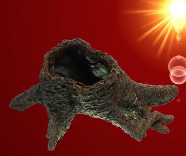 Aquarium Deko BAUMSTUMPF HÖHLE Garnele Zubehör Dekoration Terrarium Wurzel