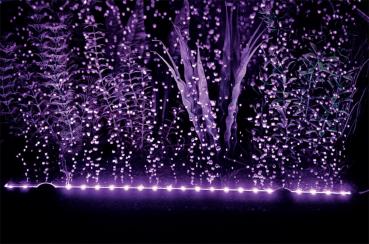 Aquarium Deko SPRUDELLEISTE ➕ LED ➕ FERNBEDIENUNG ➕ LUFTPUMPE Dekoration Zubehör