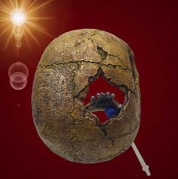 Aquarium Deko sprudelnder TOTENKOPF ✚ LUFTPUMPE ✚ Zubehör Dekoration