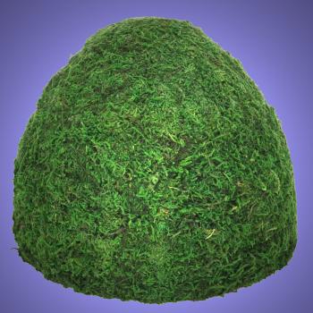 Terrarium Reptilien Deko XL ECHTE MOOS HÖHLE Dekoration Iglu Zubehör