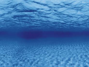 Aquarium Deko RÜCKWANDFOLIE 100 X 50 cm Fotorückwand Zubehör Hintergrund