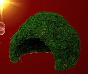 Terrarium Reptilien Deko NATÜRLICHE ECHTE MOOS HÖHLE Dekoration Zubehör