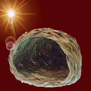 GRAS NEST HÖHLE Nager Zubehör Hamster Meerschweinchen Haus Spielzeug Haus