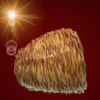 GRAS NEST HÖHLE Nager Zubehör Hamster Meerschweinchen Haus Spielzeug Haus