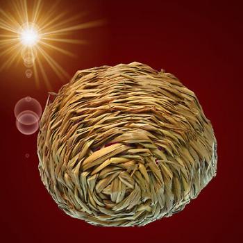 GRAS NEST HÖHLE Nager Zubehör Hamster Meerschweinchen Haus Spielzeug Haus