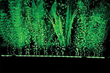 ! 44cm ! AUSSTRÖMERLEISTE ➕ LED BELEUCHTUNG ➕ FERNBEDIENUNG Aquarium Deko Zubehör