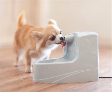 PetSafe Drinkwell® TRINKBRUNNEN 1,2 LITER Katzen Haustiere Hunde Napf