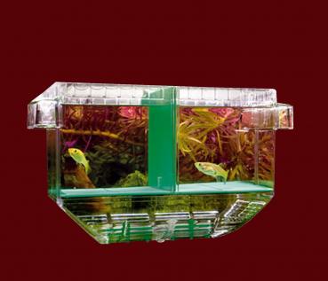 Aquarium ABLAICHKASTEN HOBBY "NIDO 1 "Aufzuchtsbecken Zubehör