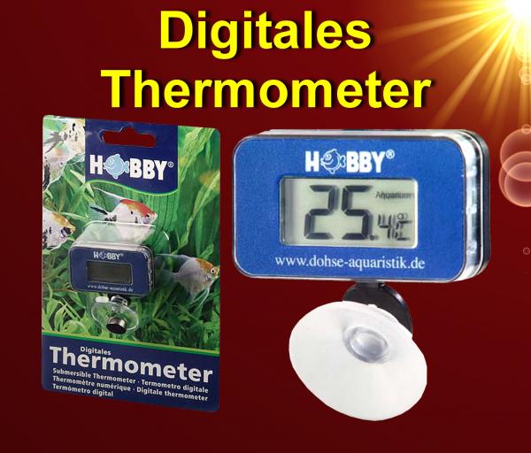 Aquarium digitales  UNTERWASSERTHERMOMETER ✚ SAUGNAPF HOBBY Zubehör Deko Pflege Deko