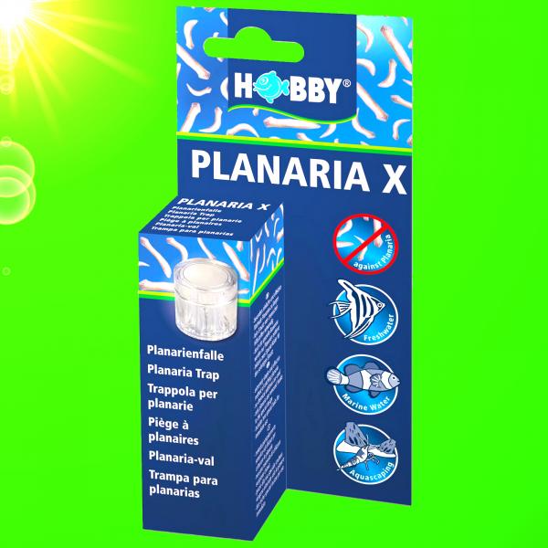 Aquarium PLANARIENFALLE Planaria Scheibenwürmer Falle Trap Wurm Fänger