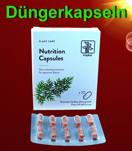 Aquarium WASSERPFLANZEN DÜNGER KAPSELN Wurzeldünger Zubehör Pflanzendünger