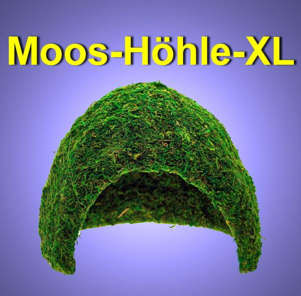 Terrarium Reptilien Deko XL ECHTE MOOS HÖHLE Dekoration Iglu Zubehör
