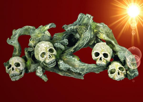 Aquarium Deko TOTENSCHÄDEL AUF WURZEL Zubehör Dekoration Totenkopf Terrarium