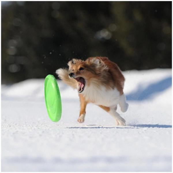 doppelseitiges Frisbee Hunde SCHWIMMENDES APPORTIESPIELZEUG ! Wurfscheibe