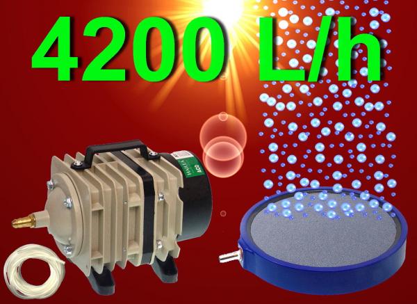 Teich Aquarium 4200L/h KOMPRESSOR ✚ 20cm BELÜFTERPLATTE Zubehör Sauerstoff