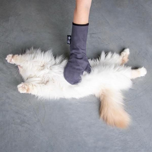 Katzen FELL PFLEGE HANDSCHUH von D&D Home Tierhaar Zubehör
