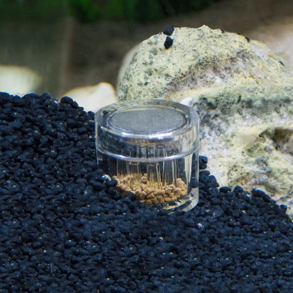 Aquarium PLANARIENFALLE Planaria Scheibenwürmer Falle Trap Wurm Fänger
