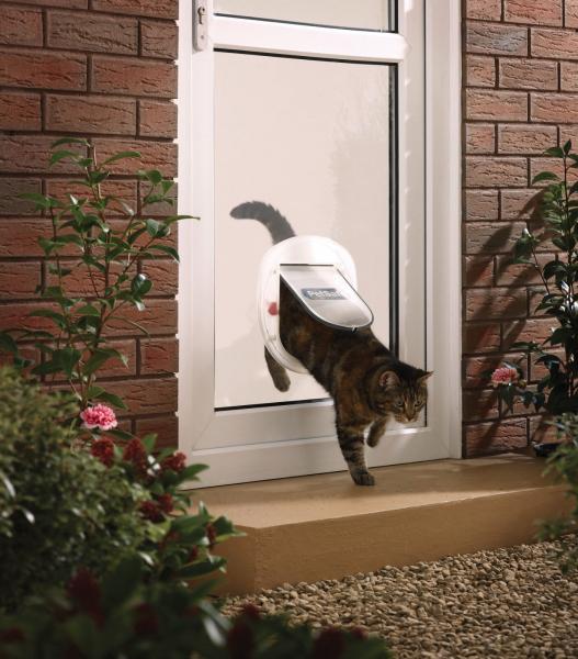 PetSafe® 4-Wege KATZENKLAPPE Katzentür Haustier Hundetür Hundeklappe Glas