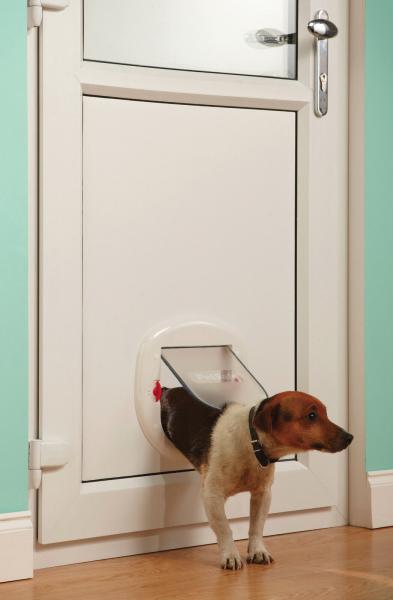 PetSafe® 4-Wege KATZENKLAPPE weiß Katzentür Haustier Hundetür Hundeklappe Glas