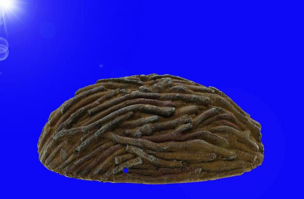 Aquarium Terrarium Deko "HOLZ" HÖHLE GR.S Zubehör Dekoration Reptilien