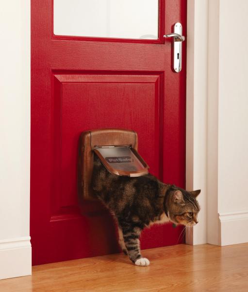 4-Wege PetSafe® KATZENKLAPPE ✚ MAGNETSCHLÜSSEL Katzentür Haustier Hunde Glas