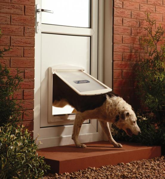PetSafe® 2-Wege HUNDEKLAPPE Katzentür Haustier Hundetür Katzenklappe Glas