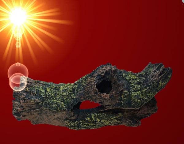 Aquarium Deko verzweigte AST HÖHLE Wurzel Welse Barsche Terrarium Zubehör