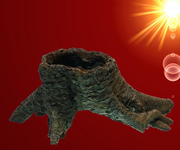 Aquarium Deko BAUMSTUMPF HÖHLE Garnele Zubehör Dekoration Terrarium Wurzel