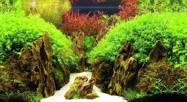 Aquarium Deko RÜCKWANDFOLIE 100 X 50 cm Fotorückwand Zubehör Dekoration
