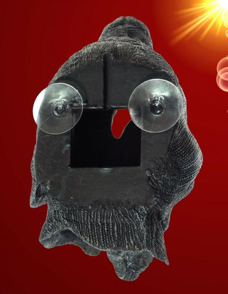 Aquarium Deko großer DUNKLER MÖNCH HÖHLE mit Sauger Dekoration Zubehör
