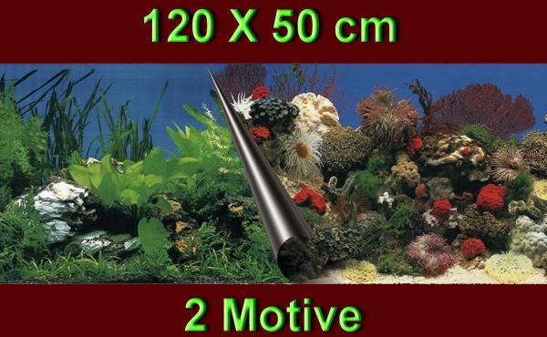 Aquarium Deko 120X50 cm RÜCKWANDFOLIE Fotorückwand Zubehör Poster Dekoration