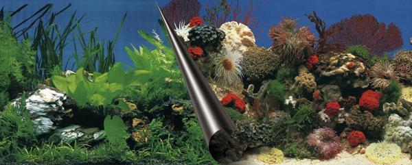 Aquarium Deko 60X30 cm RÜCKWANDFOLIE Fotorückwand Zubehör Poster Dekoration