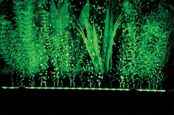 Aquarium Deko SPRUDELLEISTE ➕ LED ➕ FERNBEDIENUNG ➕ LUFTPUMPE Dekoration Zubehör