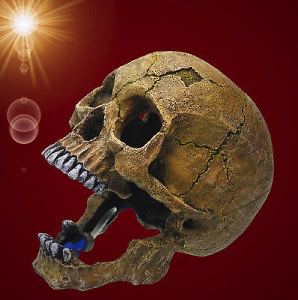Aquarium Deko sprudelnder TOTENKOPF ✚ LUFTPUMPE ✚ Zubehör Dekoration